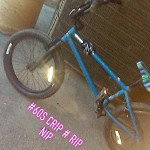 main
crew star
