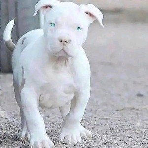 me presento 😈👌