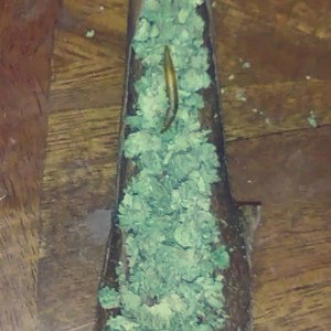 RIP REAL 1S