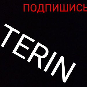 TERIN-Мои демоны