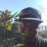 main
crew star