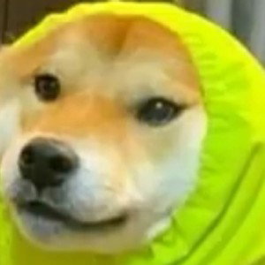 зашквар от аоаооа садист на бутыль 