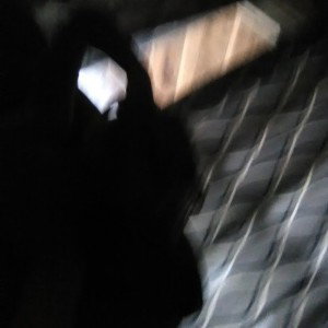 Pink _15-02