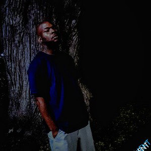 dt_letting-loose