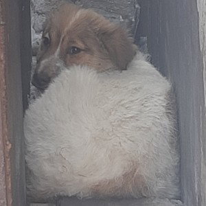 нет