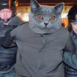 ВИЗАВ КИНУТ