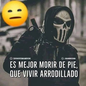todo todito 