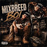 Mixbreed Boi