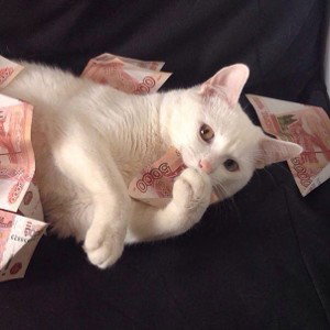 Сюдьба моя