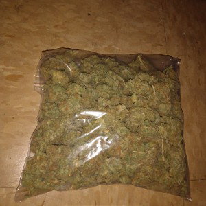 Afranticb - YTN_JAYBRIKK