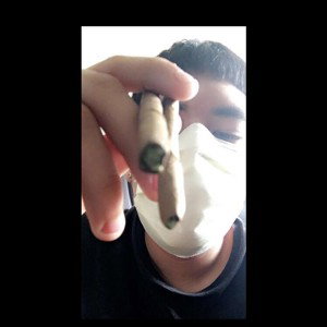 FreeStyle