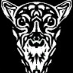 Wild - PROLOG 