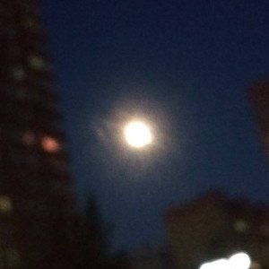 танец жука