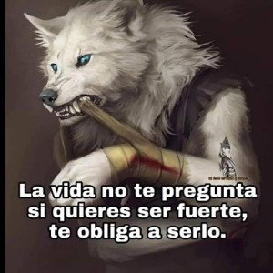 mala persona