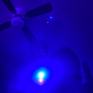 freestyle