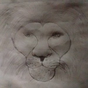 Maître_Gims_-_Loup_Garou_ft._Sofiane__Paroles__240p_