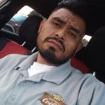 main
crew star