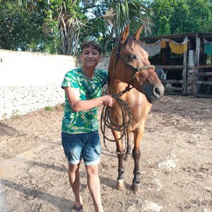mc alfredo