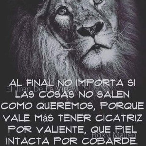 Mi bandidita