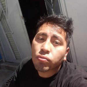 tonta 3