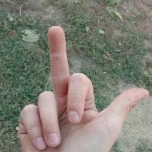 Стелкард