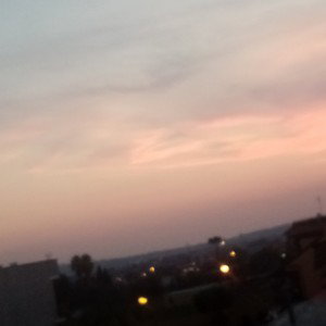 viend