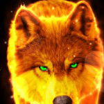 main
crew star