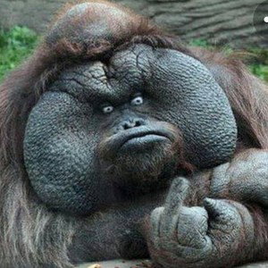 get your stank ass off my page this whole page is a joke calm down  👁👅👁
