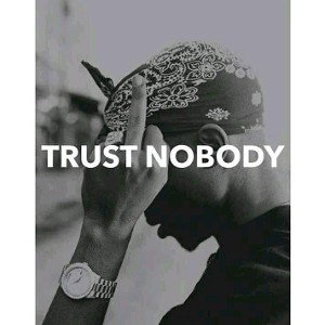 fake life