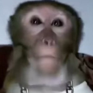 рускийй язык говно