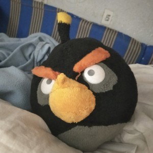 Богачь
