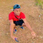 main
crew star