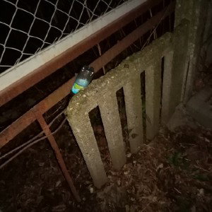 ушёл помишался пришел