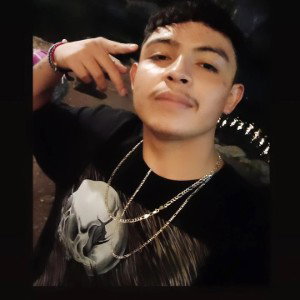 Estilo libre