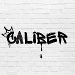 CALIB3R