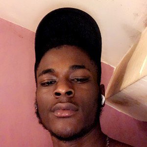 LITE (13:10:10)