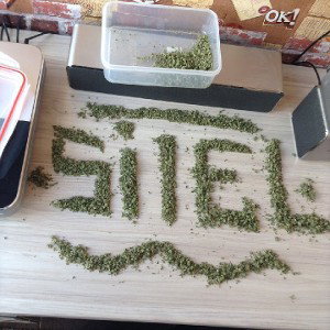 Sitel - Вокруг