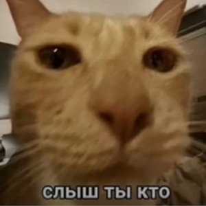 все думают о репе и остальном а я сделал гитара и бассы                              