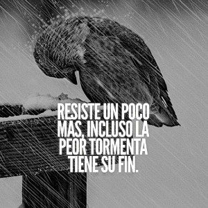 pensamiento bb