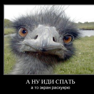 MORGENSHTERN_-_NOVYJ_MERIN_Minus_by_OverDosE_.mn)