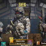 main
crew star
