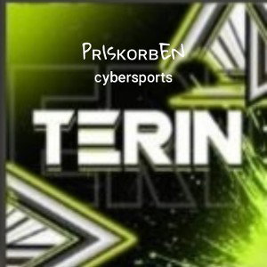 гансеры