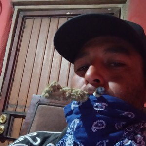 FREESTYLE 