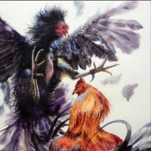 drago
