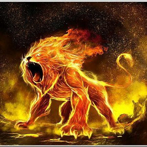 Panthera Leo - cocain pain