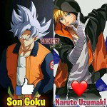 main
crew star