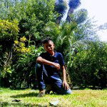 main
crew star