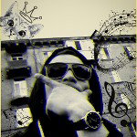 main
crew star
