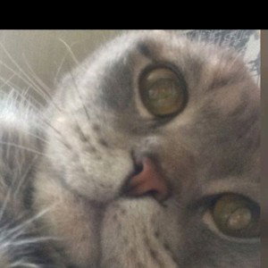 мы крутые
