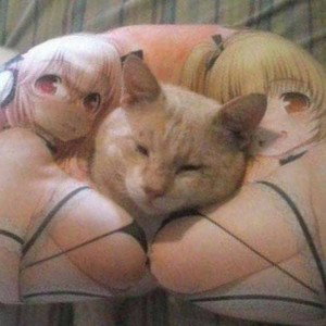 хули емае